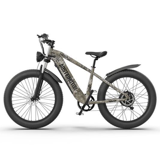 Off-road Electric Bike Hero