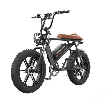 Super Cool New Model Electric Bike Storm