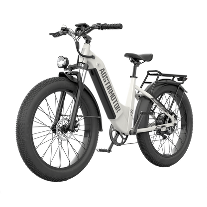 52V All-terrain Electric Bike Queen