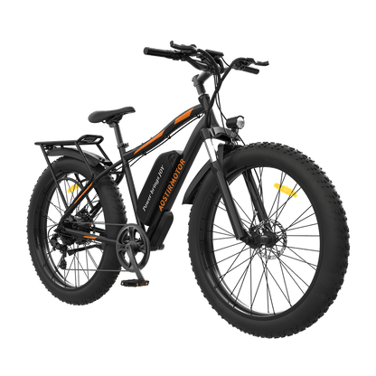 750W Electric Mountain Bike S07