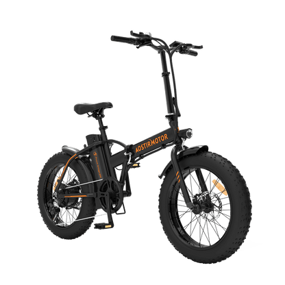 Fat Tire Folding Electric Bike A20