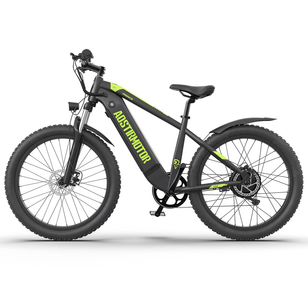 PRINCE 52V 750W Electric Bike