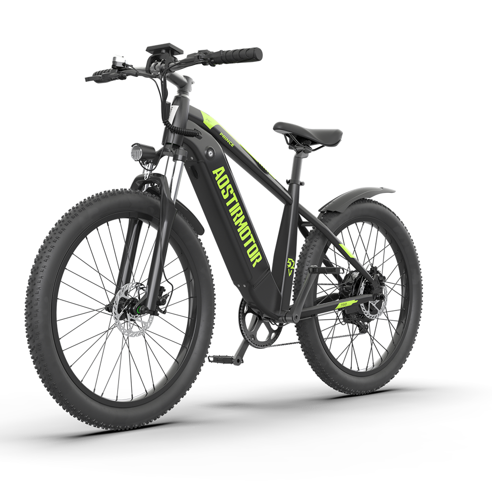 PRINCE 52V 750W Electric Bike