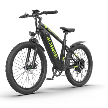 PRINCE 52V 750W Electric Bike