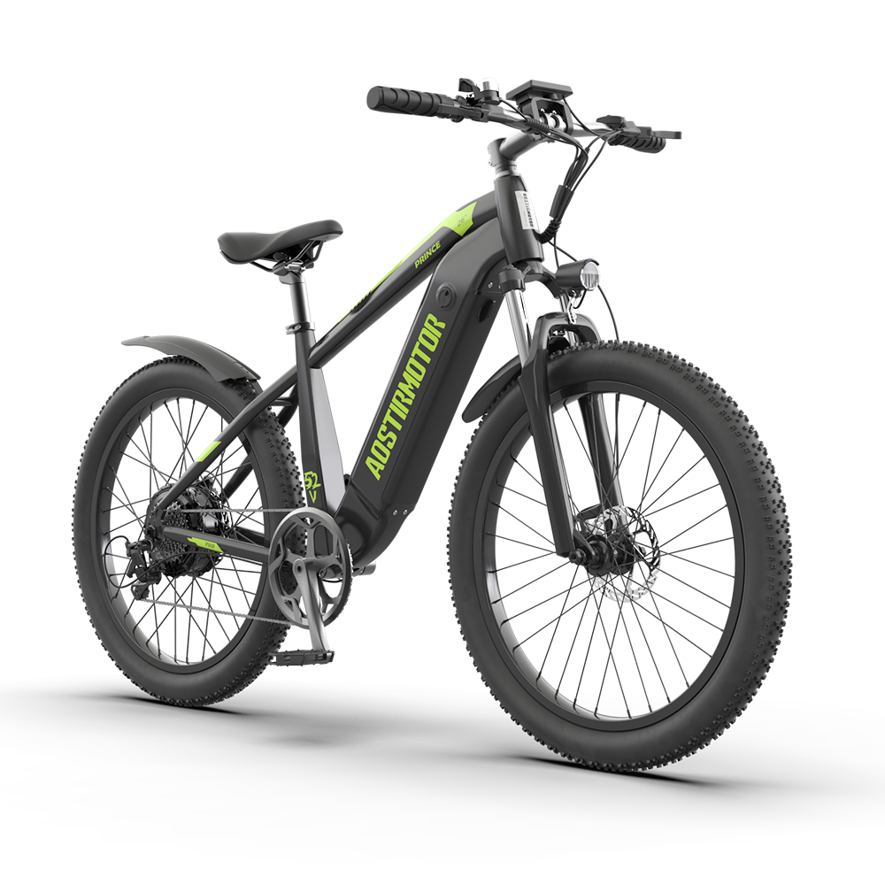 PRINCE 52V 750W Electric Bike