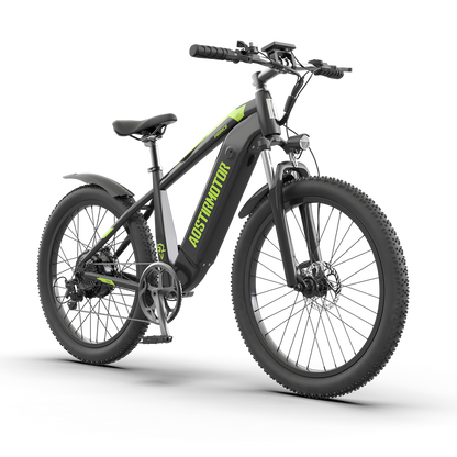 PRINCE 52V 750W Electric Bike