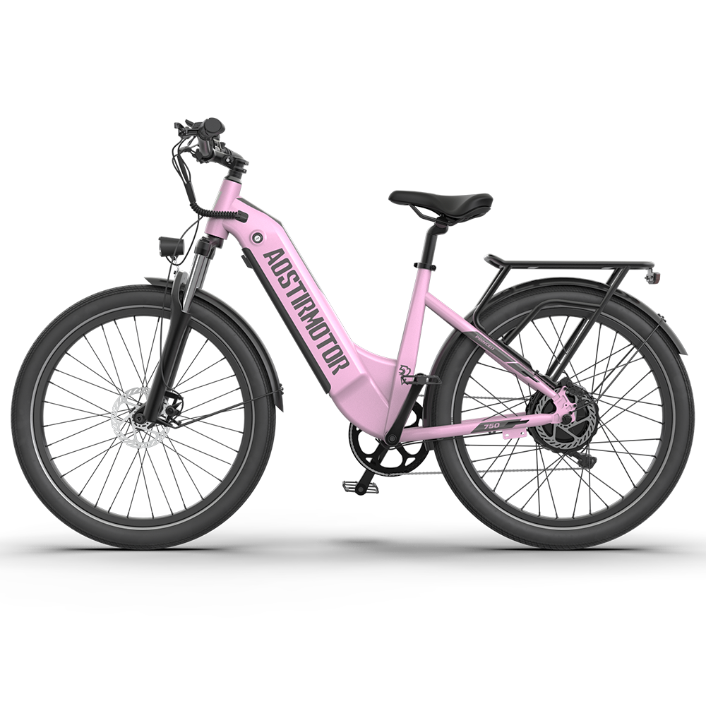 PRINCESS 52V 750W Electric Bike