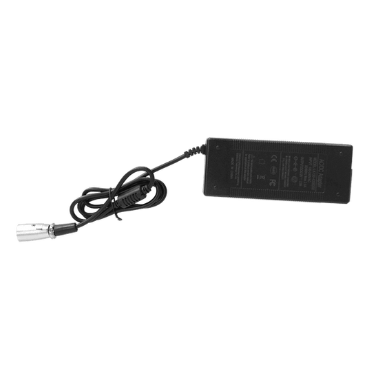 Electric Bike Charger 36V