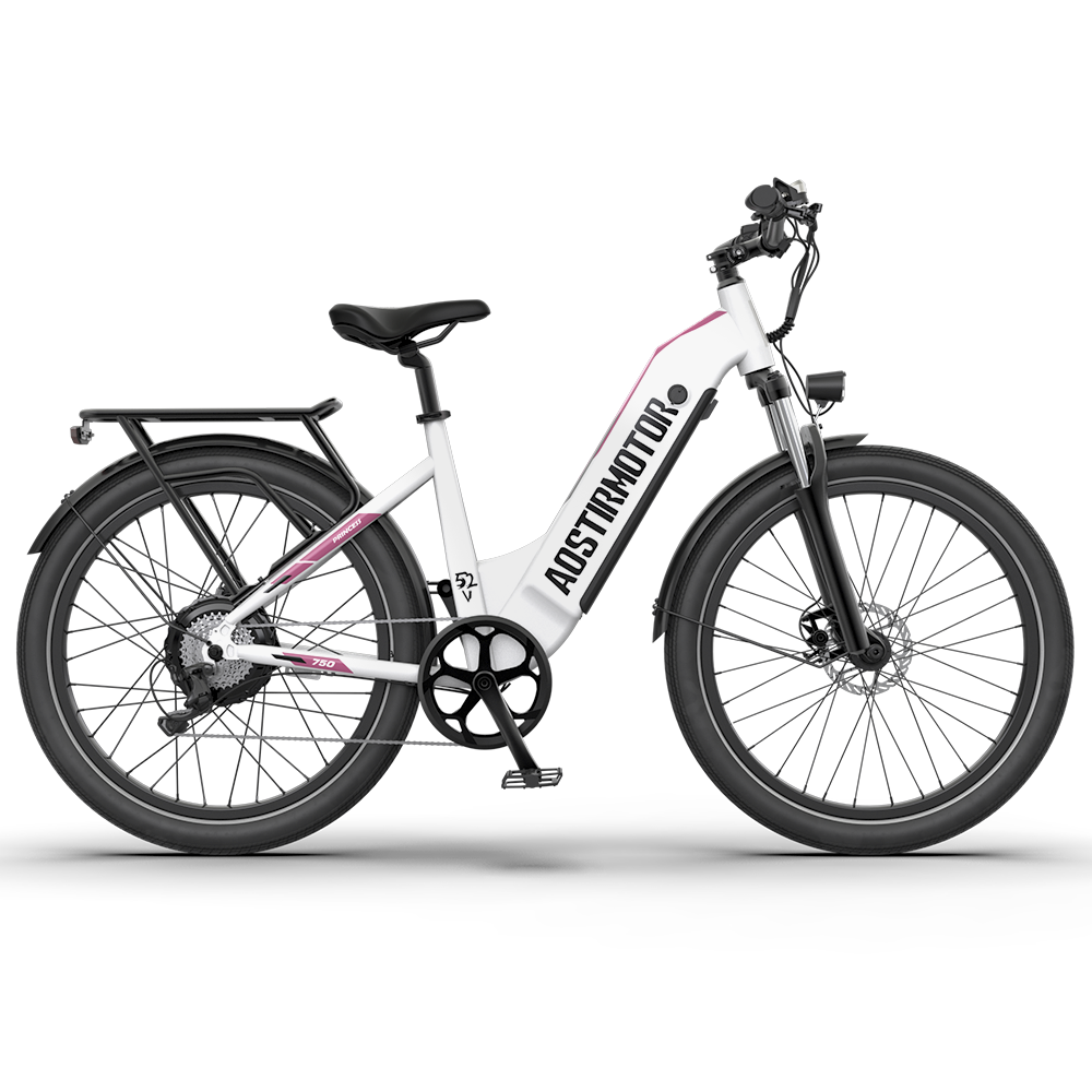 PRINCESS 52V 750W Electric Bike